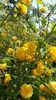 20150425_115035
