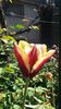 20150425_115257