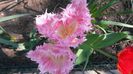 20150425_115351