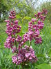 DSCN6207