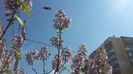 2015-05-03 10.34.37