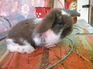 20150504_172640[1]