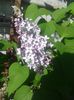 20150426_092504