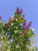20150426_092431