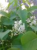 20150425_170639