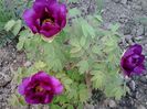 20150504_192530