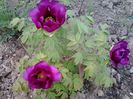 20150504_192552