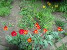 DSCN9360