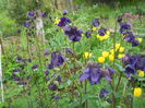 DSCN9376