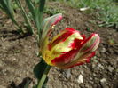 DSC00400
