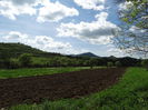 DSC00362