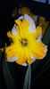 20150427_201556