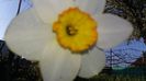20150430_185220