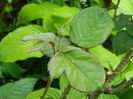 DSCN5830