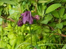 DSCN5844