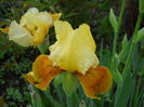 DSCN6237