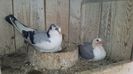 20150505_133424