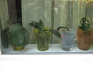 Picture My plants 2940
