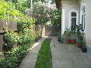Picture My plants 2966