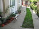 Picture My plants 2977