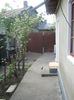 Picture My plants 3000