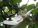 P5050178