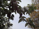 P5050187