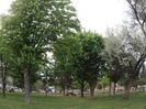P5040482