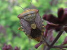 P5050067