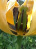 P5050139