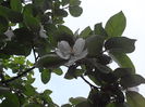 P5050174