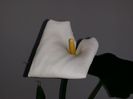 20150504_152535