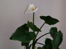 20150504_153049