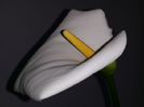 20150504_152955