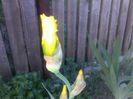 050520152412