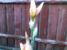 050520152418