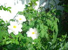 DSC06578