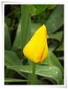DSCF0175