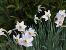 5 mai 053