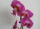 20150506_174047