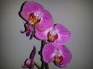 20150506_174223