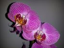 20150506_174242