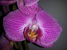 20150506_174121