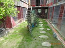 DSC07854