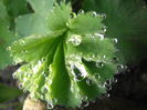P5060132