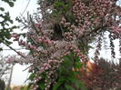 P5060438