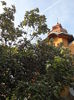 P5060508