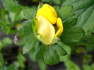 P5060184