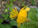 P5060197