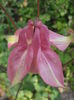 P5060236